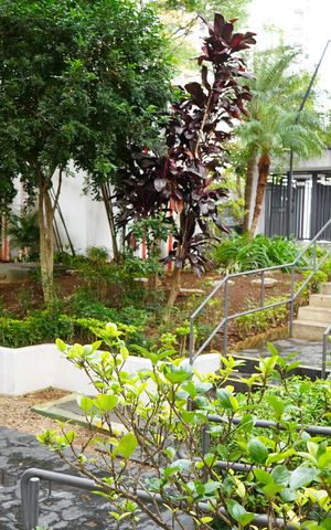 Apartamento para alugar com 65m², 3 quartos e 1 vagaÁrea comum