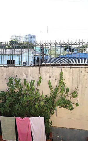 Casa à venda com 300m², 7 quartos e 4 vagasVista do Quarto 5