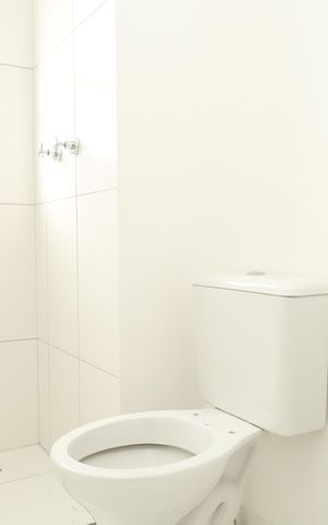 Apartamento à venda com 47m², 2 quartos e 1 vagaBanheiro