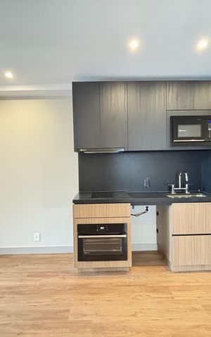 Apartamento para alugar com 44m², 1 quarto e sem vaga
