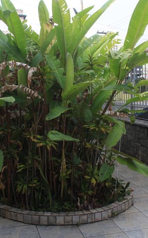 Casa à venda com 400m², 3 quartos e 4 vagasÁrea externa