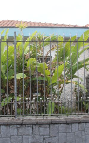 Casa à venda com 400m², 3 quartos e 4 vagasPlaca