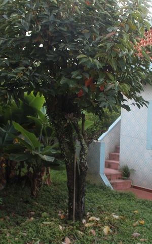 Casa à venda com 400m², 3 quartos e 4 vagasÁrea externa