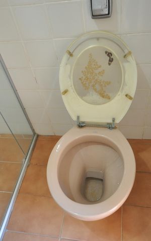 Casa à venda com 900m², 4 quartos e 7 vagasBanheiro Social