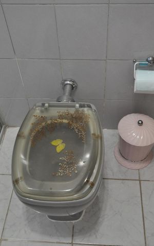 Casa à venda com 900m², 4 quartos e 7 vagasBanheiro  da Suíte 2