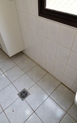 Apartamento à venda com 76m², 3 quartos e 2 vagasÁrea de Serviço