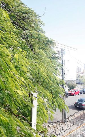 Apartamento à venda com 59m², 2 quartos e 1 vagaSala Vista