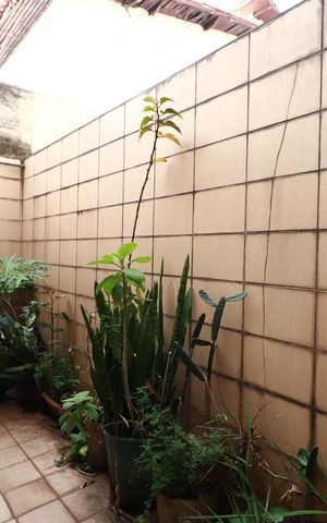 Casa à venda com 66m², 2 quartos e 1 vagaQuintal