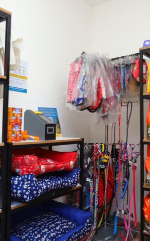 Apartamento à venda com 42m², 2 quartos e sem vagaÁrea comum - Pet shop