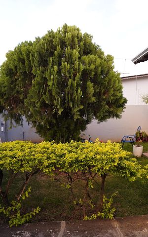 Casa à venda com 300m², 4 quartos e 4 vagas