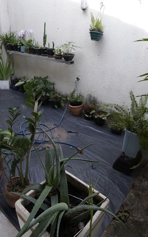 Casa à venda com 80m², 2 quartos e 1 vaga