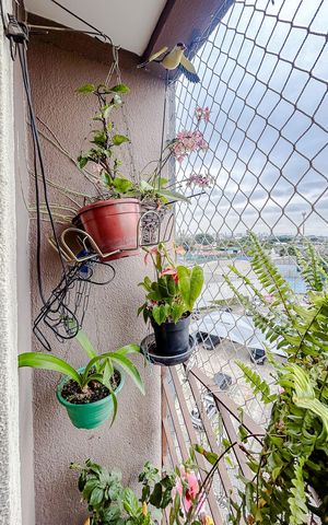 Apartamento à venda com 62m², 3 quartos e 1 vagaVaranda