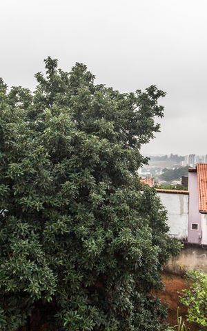 Apartamento à venda com 51m², 2 quartos e sem vagaVista do Quarto 2