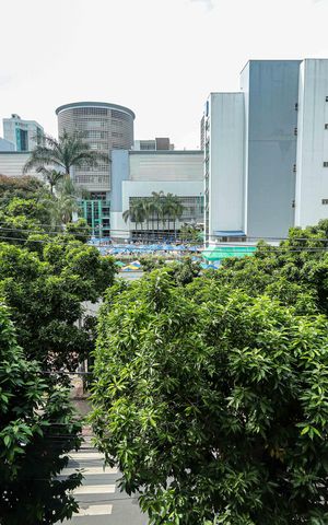 Apartamento à venda com 183m², 4 quartos e 4 vagasVista da Sala