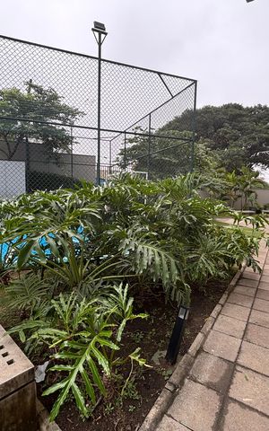 Apartamento à venda com 34m², 2 quartos e sem vaga Apartamento à venda com 34m², 2 quartos e sem vagaÁrea comum