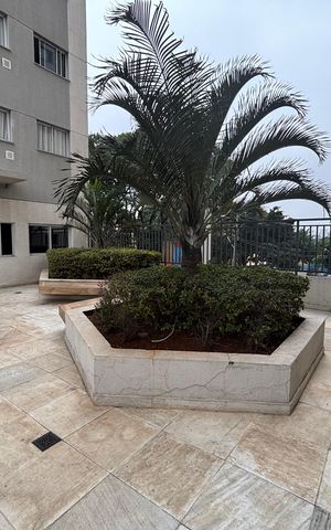 Apartamento à venda com 34m², 2 quartos e sem vaga Apartamento à venda com 34m², 2 quartos e sem vagaÁrea comum