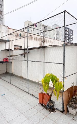 Casa à venda com 387m², 6 quartos e 7 vagas Casa à venda com 387m², 6 quartos e 7 vagasQuintal - Casa 1