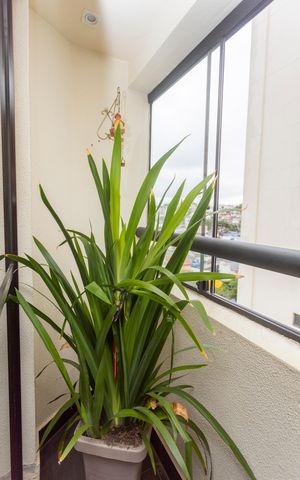 Apartamento à venda com 65m², 3 quartos e 1 vagaSacada