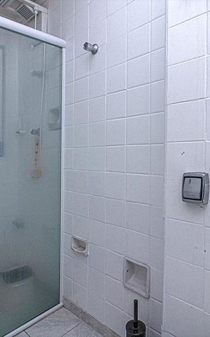 Apartamento para alugar com 52m², 2 quartos e 1 vaga Apartamento para alugar com 52m², 2 quartos e 1 vagabanheiro social_1