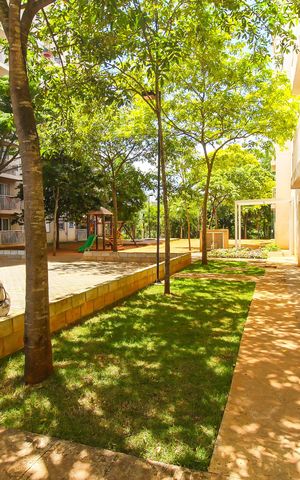 Apartamento à venda com 54m², 2 quartos e sem vaga Apartamento à venda com 54m², 2 quartos e sem vagaÁrea comum
