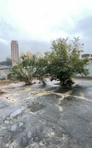 Casa para alugar com 917m², 3 quartos e 6 vagas Casa para alugar com 917m², 3 quartos e 6 vagasQuintal