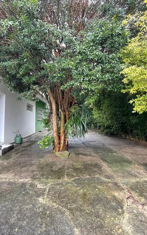 Casa para alugar com 917m², 3 quartos e 6 vagas Casa para alugar com 917m², 3 quartos e 6 vagasQuintal