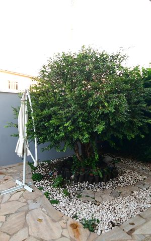 Casa à venda com 240m², 3 quartos e 4 vagasJardim