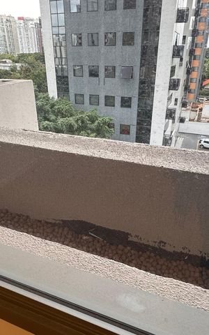 Apartamento à venda com 81m², 3 quartos e 1 vaga