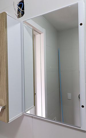 Apartamento à venda com 55m², 1 quarto e sem vagaBanheiro 