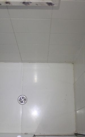 Apartamento à venda com 116m², 4 quartos e 2 vagasSuíte