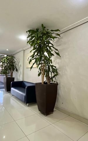 Apartamento para alugar com 58m², 3 quartos e 3 vagas Apartamento para alugar com 58m², 3 quartos e 3 vagasHall social