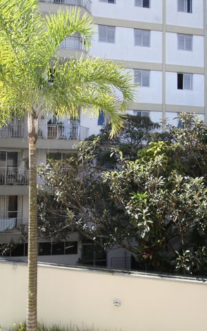 Casa para alugar com 210m², 4 quartos e 3 vagasVista da Sacada do Quarto 1