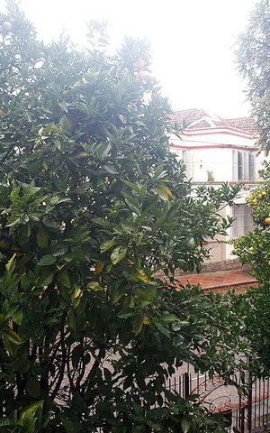 Apartamento à venda com 58m², 1 quarto e sem vagaVista da Sala 1