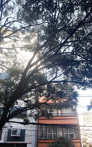 Apartamento à venda com 44m², 1 quarto e sem vagaSala Vista