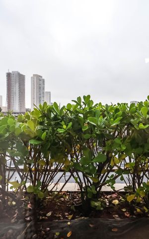 Apartamento para alugar com 115m², 3 quartos e 2 vagasQuarto 3