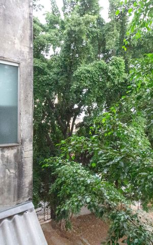 Apartamento para alugar com 90m², 2 quartos e sem vagaÁrea de Serviço - vista