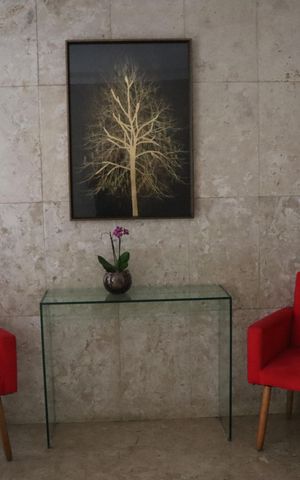 Apartamento para alugar com 41m², 1 quarto e sem vagaHall Social
