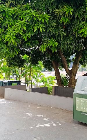 Apartamento para alugar com 41m², 1 quarto e sem vagaÁrea Verde