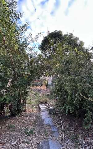 Casa à venda com 500m², 2 quartos e 3 vagasQuintal