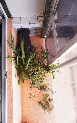 Casa à venda com 150m², 2 quartos e 2 vagasVaranda da Sala