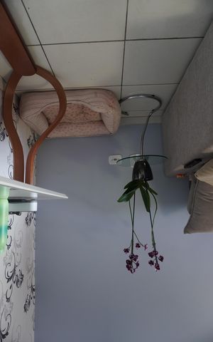 Casa à venda com 150m², 2 quartos e 2 vagasSala