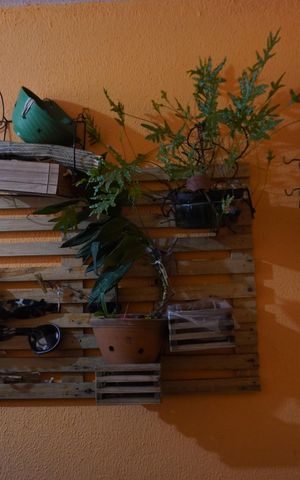 Casa à venda com 150m², 2 quartos e 2 vagasGaragem