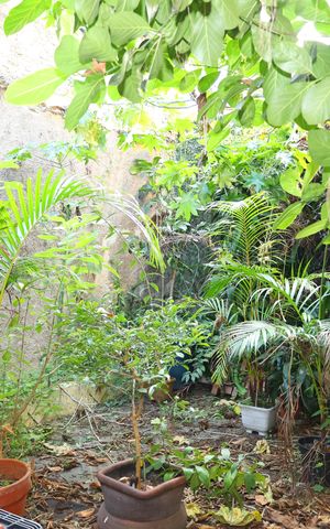 Casa à venda com 100m², 2 quartos e 1 vagaÁrea Externa