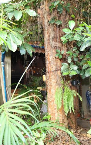 Casa à venda com 100m², 2 quartos e 1 vagaÁrea Externa