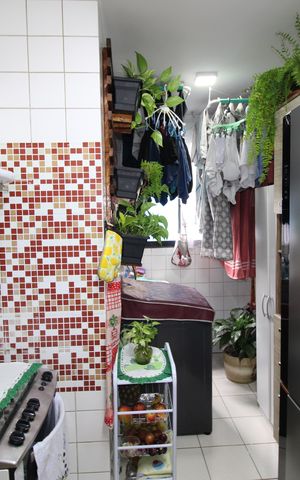 Apartamento à venda com 52m², 2 quartos e 1 vagaCozinha