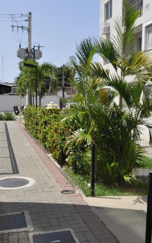 Apartamento para alugar com 45m², 2 quartos e 1 vagaÁrea comum