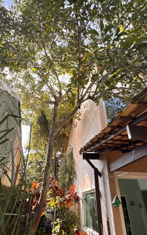 Casa de condomínio à venda com 360m², 4 quartos e 3 vagas Casa de condomínio à venda com 360m², 4 quartos e 3 vagasÁrea externa