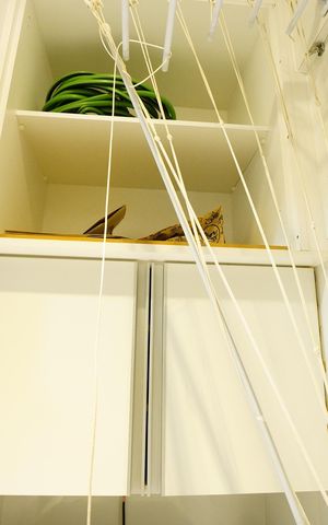 Apartamento à venda com 68m², 2 quartos e 1 vaga