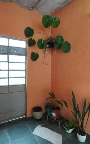 Casa à venda com 128m², 3 quartos e 2 vagasEntrada