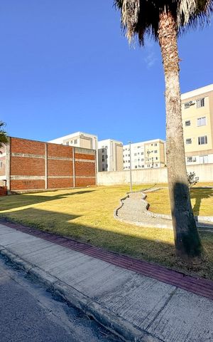 Apartamento para alugar com 56m², 2 quartos e 1 vagaVista da Rua